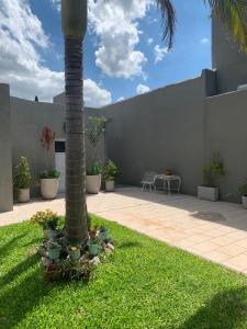 a palm tree in the middle of a yard at Apartamentos Colibrí- Frente al Santuario de la Virgen in San Nicolás de los Arroyos
