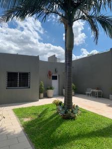 una palma di fronte a una casa di Apartamentos Colibrí a San Nicolás de los Arroyos