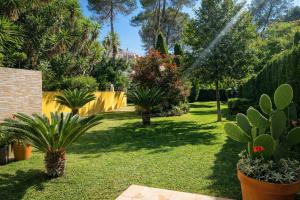 Vườn quanh Wonderful Villa, Heated Pool, Near Beautiful Xàtiva Town