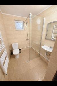 a bathroom with a shower and a toilet and a sink at Casa Albiony Dâmbovicioara in Dîmbovicioara +49 photos