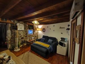 een woonkamer met een bank en een tv bij Orion Guesthouse Telhado in Fundão