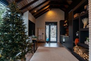 a christmas tree in a room with a kitchen at Noma Cabin in Măguri