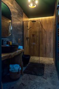 un bagno con lavandino e doccia in vetro di Noma Cabin a Măguri