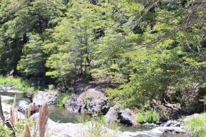 un fiume con rocce e alberi in una foresta di Vista al volcán con tinaja y río en Conguillío a Curacautín 1 altra foto
