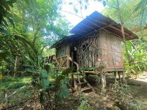 En have udenfor Sacha Wasi - Jungle Medicine Community