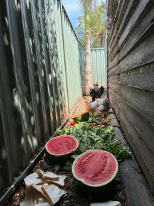 Gallery image of Homestead in Mannering Park in Mannering Park