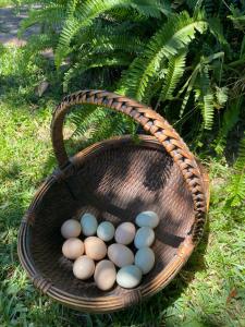 Gallery image of Homestead in Mannering Park in Mannering Park