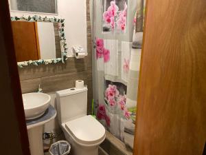 a bathroom with a toilet and a sink at Tercer Cielo in Mejillones