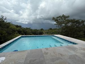 an empty swimming pool with trees in the background at La Casita de Acero in Rio Grande
