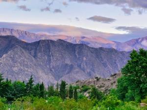 a view of a mountain range with trees in the foreground at Refugio de Olivia in Juella
