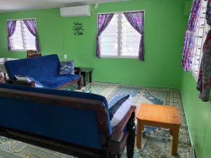 een woonkamer met een blauwe bank en groene muren bij Mana ki he Mana Residence 