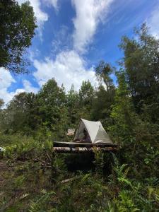 una persona seduta in una tenda in un campo di Koywe Refugio a Puerto Varas Altre 8 foto