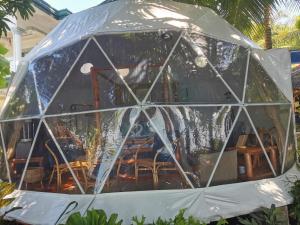 a iguana in a glass dome in a yard at Beachfront Glamping Dome Dauin Bamboo Style in Dauin