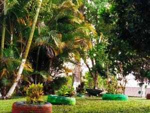 a park with palm trees and green barrels in the grass at ecohostal namaste in Salento