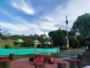 a playground with umbrellas and a pool with a blue at ecohostal namaste in Salento +15 photos