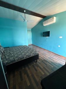 a room with a bed and a tv and blue walls at Rudraksh Hotel and restaurant in Amgarhi