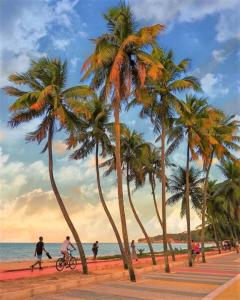 a group of palm trees on a beach at Flat Manaira, lado do Manaira Shopping in João Pessoa