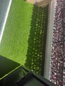 a green field of grass on the side of a building at Bliss Homes in Nairobi