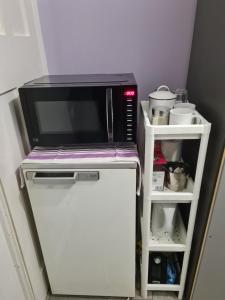 a microwave oven sitting on top of a refrigerator at Guesthouse 3 in Tilbury