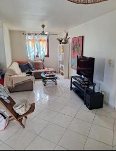 a living room with a couch and a tv at Chambre d'hôtes du Moulin SPA in Sainte-Anne