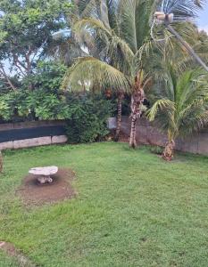 a garden with palm trees and a stone bench at Chambre d'hôtes du Moulin SPA in Sainte-Anne +1 photo