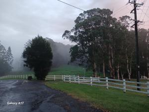 a white fence on a road with a field and trees at Paddock Shack in Carool