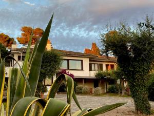 a house with a plant in front of it at Terrazza sull Argentario in Ansedónia