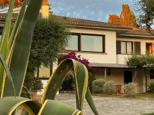 a house with a palm tree in front of it at Terrazza sull Argentario in Ansedónia