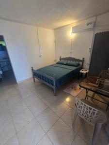 Tiện nghi bóng bàn gần/tại Grand Baie Appartment Villa ii Cocotier