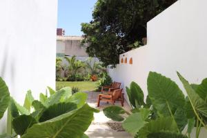 een patio met een stoel en een aantal planten bij Casa Aia in Aracaju