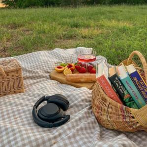 een picknickkleed met een mand vol fruit en boeken bij Terrunosdelvalle2 in San Rafael