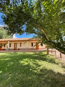 a house with a green lawn in front of it at Capec Alojamiento in Tilcara