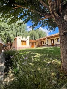 a house with a tree in front of a yard at Capec Alojamiento in Tilcara +14 photos