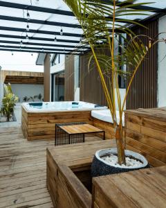 a jacuzzi tub with a palm tree in a pot at Ubuntu Residence in Ruhengeri +10 photos
