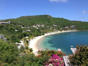 - une vue sur la plage avec des arbres et l'océan dans l'établissement Blue Moon Antigua, à English Harbour Town