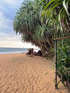 a group of people sitting on the beach at Pandula Villa 390 in Hikkaduwa