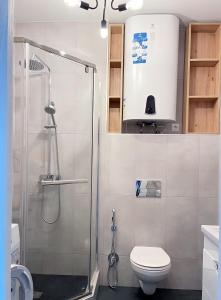 a bathroom with a shower and a toilet at Sky City room in Odesa