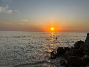 Phong cảnh thiên nhiên gần nhà khách