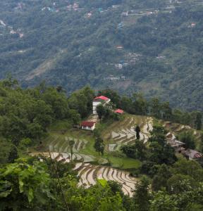 a hillside with rice terraces and a house on it at K2k homestsy in Rhenok