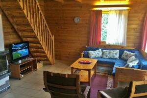 Cottage Nuppulanranta في يامسا: غرفة معيشة مع أريكة زرقاء وتلفزيون
