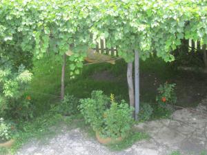 Giardino di Guest House Latali