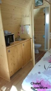 a kitchen with a sink and a microwave in a cabin at B&B Le Danica in Dordives