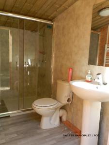 a bathroom with a toilet and a shower and a sink at B&B Le Danica in Dordives