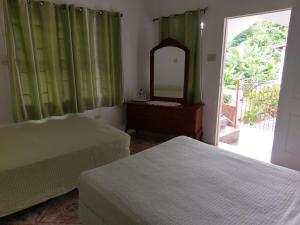a bedroom with two beds and a mirror and a window at Polish Princess Guest House in Port Antonio