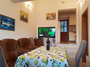 TV a/nebo společenská místnost v ubytování Apartments Ivancevic