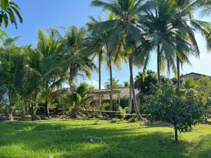 een tuin met palmbomen voor een huis bij ComeHome Lamphun in Lamphun