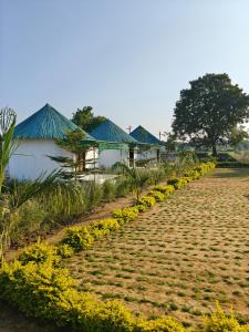 a row of houses and a field of flowers at Glory Farm in Vadāli