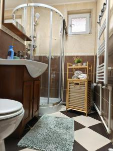 a bathroom with a shower and a sink and a toilet at Apartament Belvedere in Galaţi