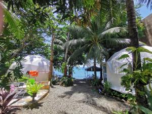 two domes on the beach with palm trees at Groups & Families Glamping Dome Beach Resort Dauin in Dauin