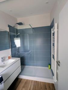 a bathroom with a shower and a sink at Studio RDC proche aéroport in Saint-Laurent-de-Mure +7 photos
